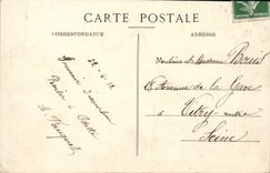 Toulouse - Vue Panoramique sur la Garonne - CPA