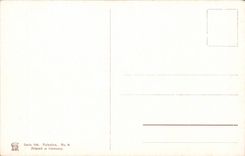 Israel - Jerusalem - Garden off Gethsemane - Gethsemani - Garden - Garten - CPA