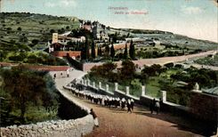Israel - Jerusalem - Garden of Gethsemani - CPA