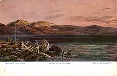 Israel - The Dead Sea - Todes Meer - Dead Sea - - CPA