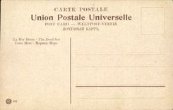 Israel - The Dead Sea - Dead Sea - Todes Meer - Horse - Horse - CPA