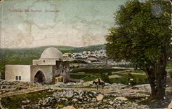 Israel - Jerusalem - Tomb of Rachel - horse - horse CPA