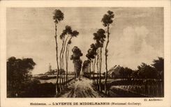 Israel - Hobbema - the Avenue of Middeharnis - CPA