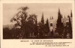 Israel - Jerusalem - the Garden of Gethsemane - CPA