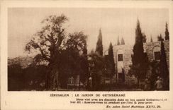 Israel - Jerusalem - the Garden of Gethsemane - CPA