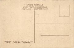 Israel - Dead Sea - Totes Meer - The Dead Sea - Cow - Cow - CPA