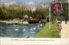 Lyon - der Park des Goldkopfes - die Ecke der Schwane - Schwane - CPA
