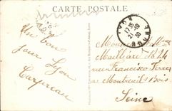 Lyon - der Park des Goldkopfes - die Ecke der Schwane - Schwane - CPA