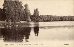 Lyon - the Park of the Gold Head - CPA