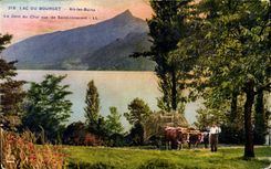 Aix les Bains - Lake of Le Bourget - Tooth of the Cat seen of Saint Innocent - CPA (ox coach)