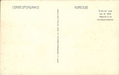 Evian les Bains - Seen from of the Lake - CPA