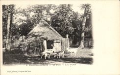 Pougues Water - the Park - Deer - deer - CPA