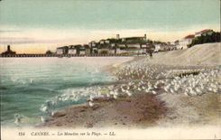 Cannes - Gulls on the Beach - CPA