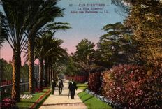 The Dimension of Azure - Cape d' Antibes - Eilenroe Villa - Allee of Palm trees - CPA