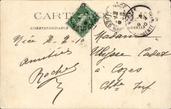 Nette - Karneval von Nizza - Rache der Tiger-Katze - Behalter-Tiger-Karnevals-Tiger - - CPA