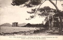 Insel-Str Honorat - Abtei von Lerins - ostlicher Punkt der Insel - CPA