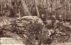 La Baule on Mer CPA With the wood of love vestige of old slips of Escoubiac
