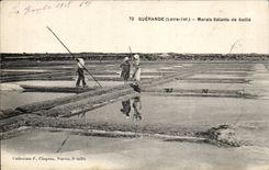 Guerande CPA saline Marais of Covers