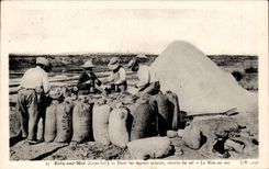 Batz on sea CPA In the salt-water marsh collects salt the bagging