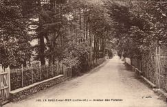 La Baule CPA Which occurred of the plane trees