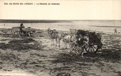 At the edge of ocean CPA goemon TOP verifies It