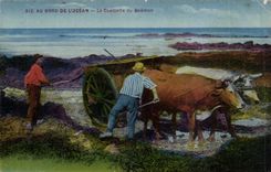 At the edge of ocean CPA the gathering of the goemon