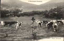 CPA Auvergne Auvergnat Shepherd (folklore caps costume cows)