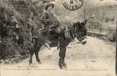 CPA Auvergne Ass donkey (folklore caps costume)