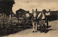 Auvergne CPA Encore a car No v have more than cha (folklore costume ass donkey)