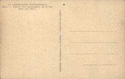 Auvergne CPA Encore a car No v have more than cha (folklore costume ass donkey)