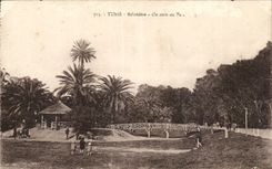 Tunisia CPA Tunis View-point a corner of the park
