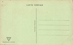 Tunisia CPA Tunis View-point a corner of the park