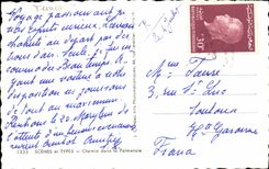 Tunisia MODERN CARD Scenes and standard Way in the palm plantation (ass donkey)