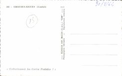 CPSM Chaudesaigues the source of warm water Pig Pig