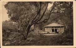 Moors CPA the return to the fold