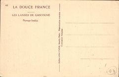 Moors CPA Paysage landais