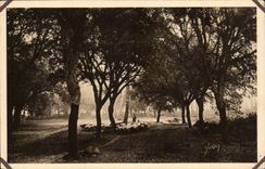 Moors CPA the oaks lieges