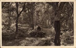 CPA Moors of Gascogne Oaks lieges