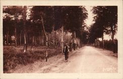 CPA the main road landaise