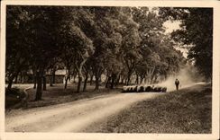 Moors of Gascogne CPA On the powdery roads (sheep)
