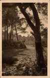 The Moors of Gascogne CPA Paysage landais