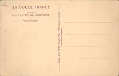 The Moors of Gascogne CPA Paysage landais