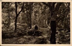 Moors of Gascogne CPA the return of the farm (trade)