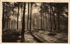 Moors of Gascogne CPA Last sun of summer first fog of autumn