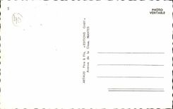 Mimizan Beach MODERN CARD Souvenir Camp-site