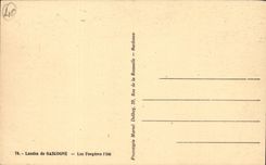 Moors of GAscogne CPA ferns the summer