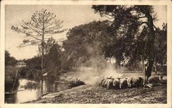 Macht Gascogne CPA von der Abfahrt der Herde in Richtung zum Bohrgerat fest