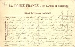 Moors of Gascogne CPA Departure of the herd towards the drill