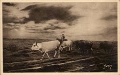 CPA macht von Gascogne in close-cropped festmachen die Ruckkehr fest