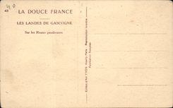 CPA Moors in Gascogne On the powdery roads